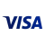 Visa Visa Logo